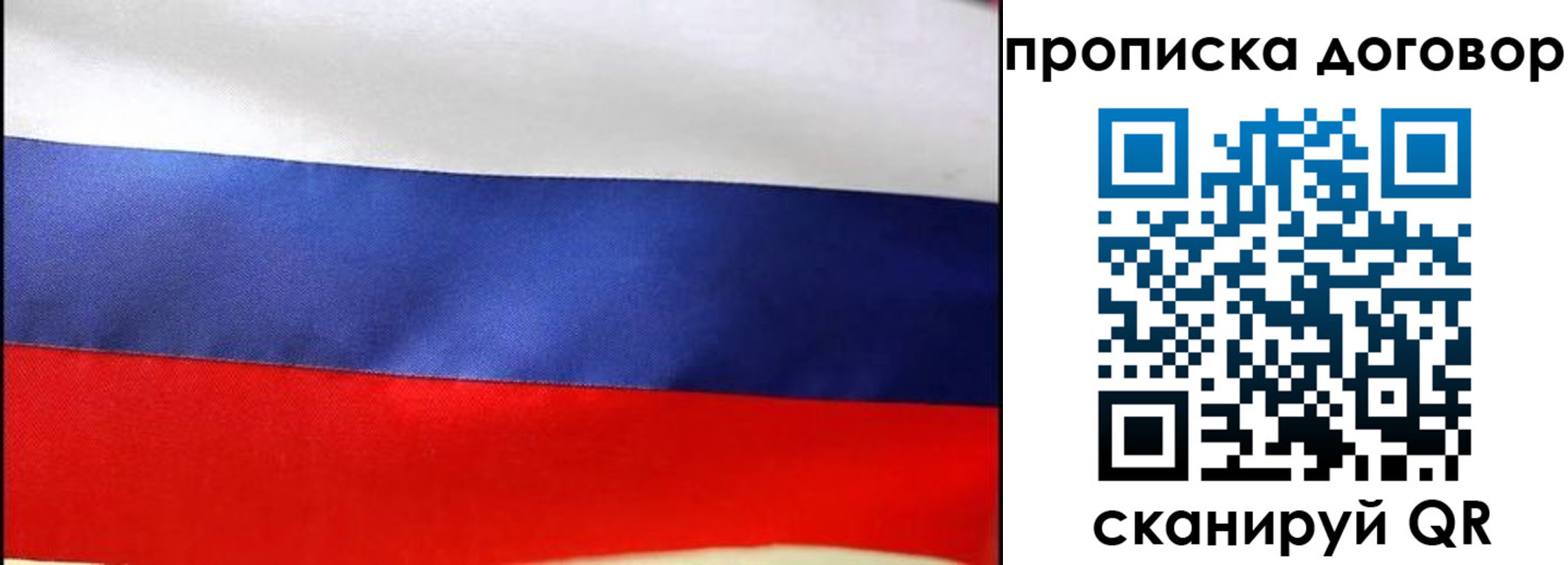 прописка гарантия в Светогорске