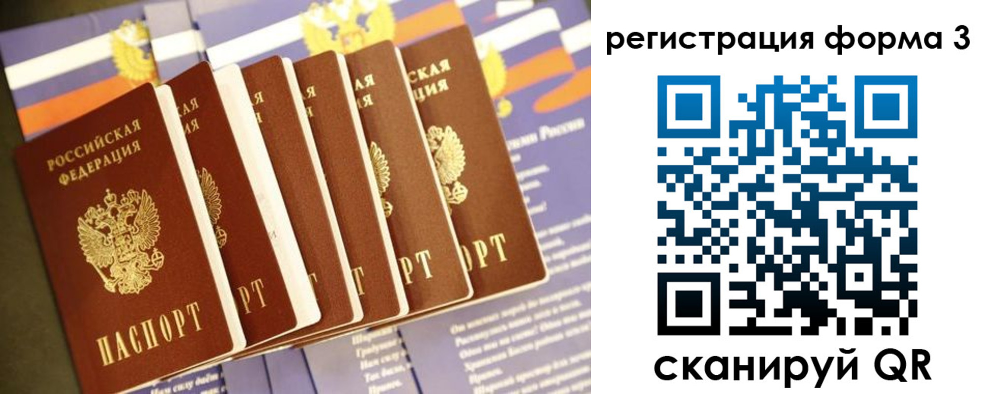 прописка поиск в Светогорске